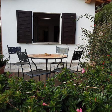 Agriturismomillefiori Manciano Exterior photo